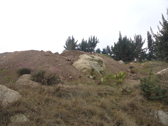 Aspecto que presenta la piedra 10 donde el mural con Arte Rupestre permanece completamente sepultado por acción vandálica de los canteros.