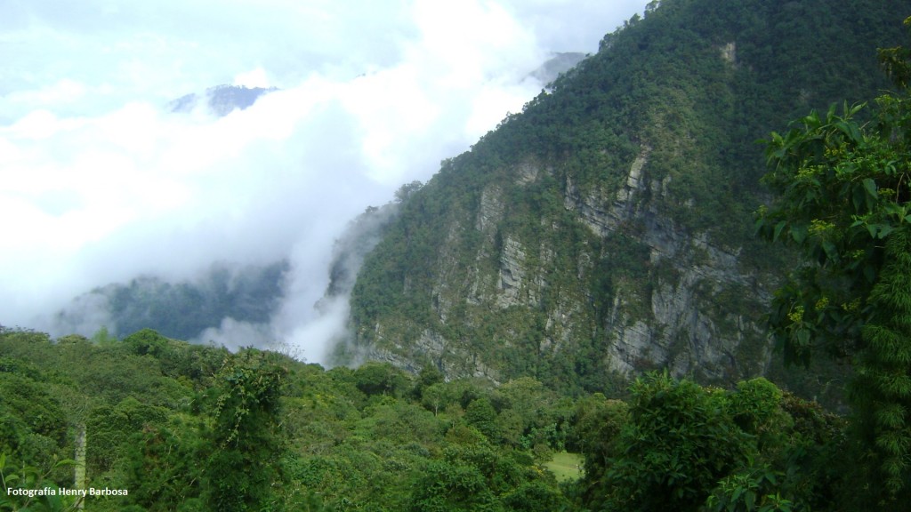 Parque Natural Chicaque, un exuberante tesoro verde convertido en santuario por ecologistas y ambientalistas. Fotografía Henry Barbosa.