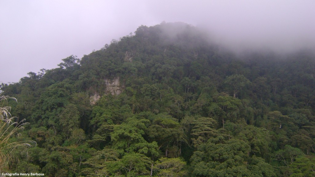 chicaque 9