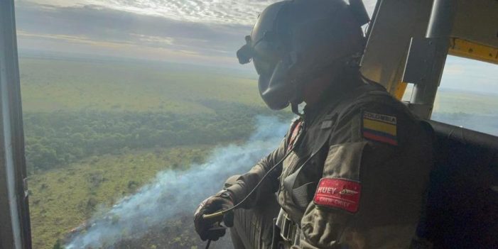 11 días completó gigantesco incendio forestal en el parque nacional El Tuparro