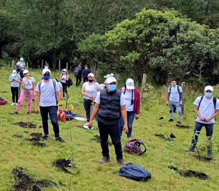 Empresas privadas siembran árboles para ayudar a restaurar ecosistema de la Sabana de Bogotá